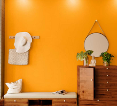 wall paint available in 4 different color