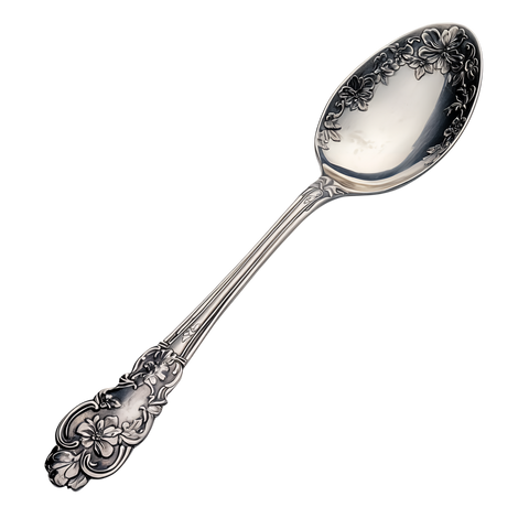 Silver Spoon