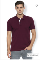 Van Heusen Men's Solid Polo T Shirt